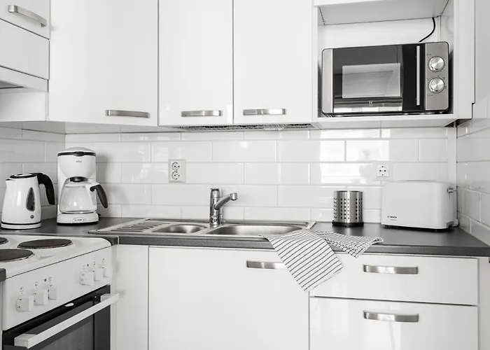 公寓 Borg Antinkatu *